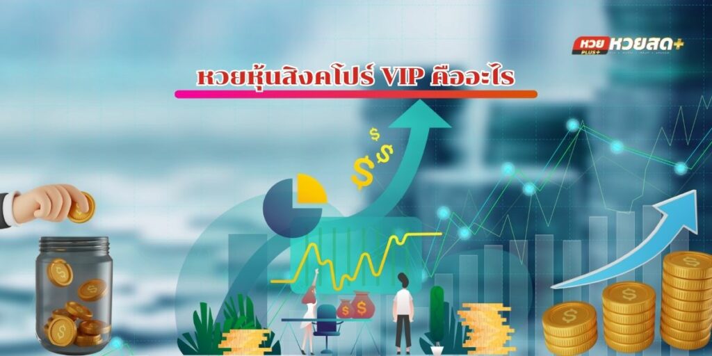 หวยหุ้นสิงคโปร์ VIP คืออะไร